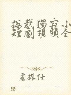 总裁独宠小娇妻短剧视频全集