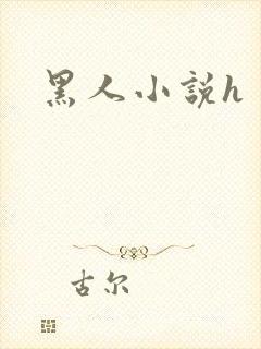 黑人小说h