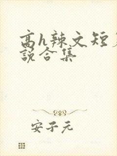 高h辣文短篇小说合集