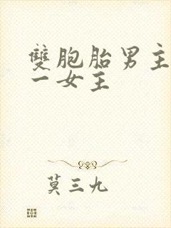 双胞胎男主共享一女主