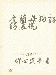 夜兰母狗认主人的表现