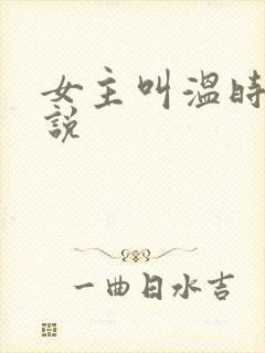 女主叫温时宜小说