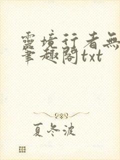 灵境行者无错版笔趣阁txt