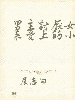 男主讨厌女主后来爱上的小说