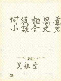 何须相思煮余年小说全文免费阅读