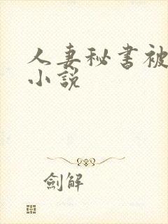 人妻秘书被人干小说