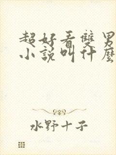 超好看双男主的小说叫什么