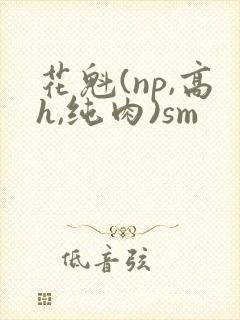 花魁(np,高h,纯肉)sm