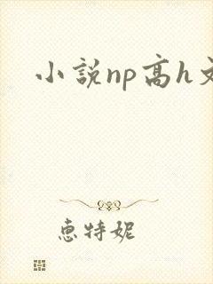 小说np高h文