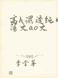 高h湿透纯肉放荡文ao文
