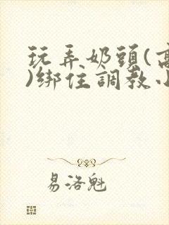 玩弄奶头(高h)绑住调教小说