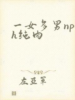 一女多男np高h纯肉