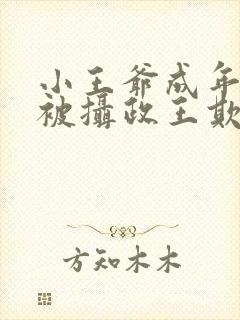 小王爷成年当夜被摄政王欺负小说