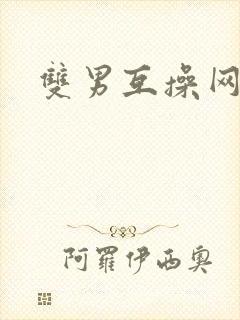 双男互操网站