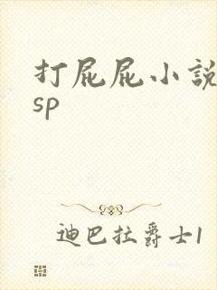 打屁屁小说男男sp封面