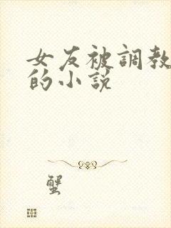 女友被调教玩弄的小说封面