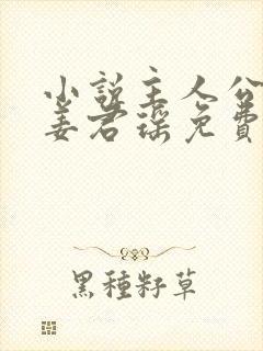 小说主人公叶楚姜君瑶免费阅读