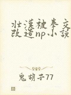 壮汉被拳交玩烂改造np小说封面