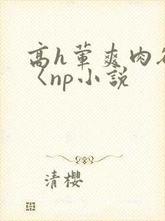 高h荤爽肉欲文〈np小说