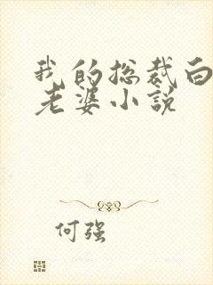 我的总裁白富美老婆小说