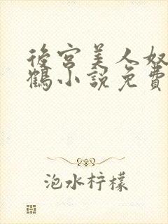 后宫美人奴闲云鹤小说免费阅读最新