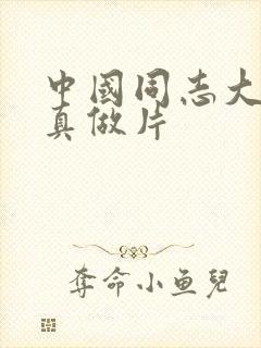 中国同志大尺度真做片封面