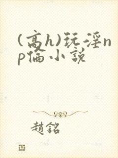 (高h)玩淫np伦小说封面