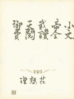 御天武帝小说免费阅读全文封面