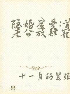 隐婚蜜爱:首席老公放肆宠