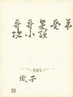 哥哥是受弟弟是攻小说