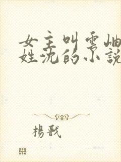 女主叫云岫男主姓沈的小说