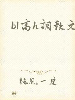 bl高h调教文