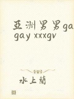 亚洲男男gay gay xxxgv