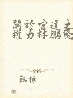 关于官道之绝对权力林鹏飞安江小说