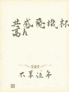 共感飞机杯嗯啊高h