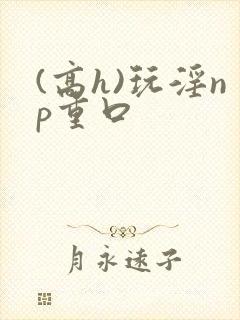 (高h)玩淫np重口