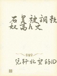 石昊被调教成肉奴高h文