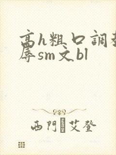 高h粗口调教羞辱sm文bl