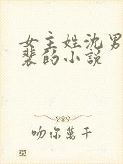 女主姓沈男主姓裴的小说