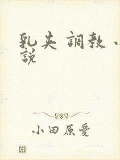 乳夹 调教 小说