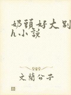 奶头好大别吸了h小说