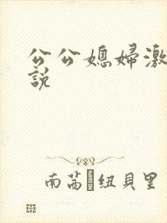 公公媳妇激情小说