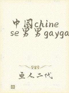 中国chinese男男gaygayvideo封面