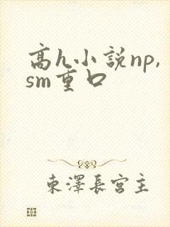 高h小说np,sm重口