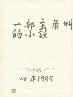 一部主角叫叶辰的小说