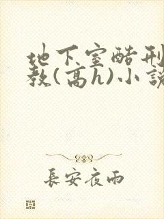 地下室酷刑性调教(高h)小说