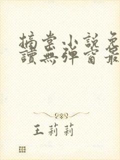 摘棠小说免费阅读无弹窗最新章节封面