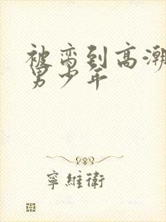 被脔到高潮的直男少年