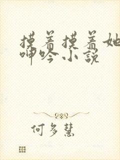 摸着摸着她高潮呻吟小说封面