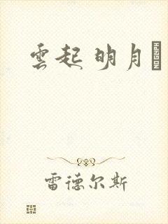 云起 明月珰封面